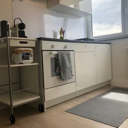 Zentrale Neu Renoviert Lejlighed *